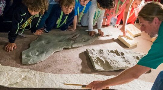 autelier enfant empreintes dinosaures muséum