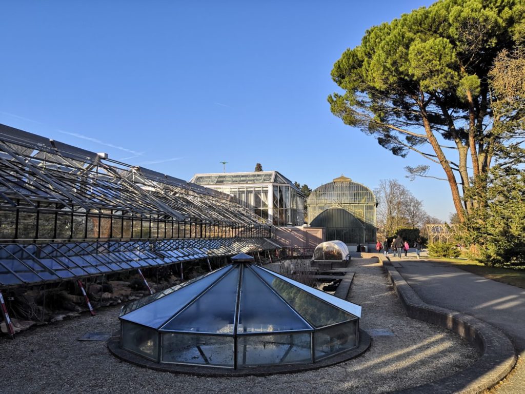 serres du jardin botanique