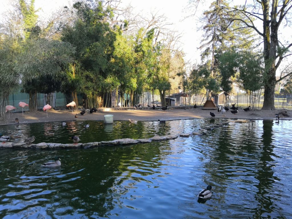 parc aux animaux du jardin botanique