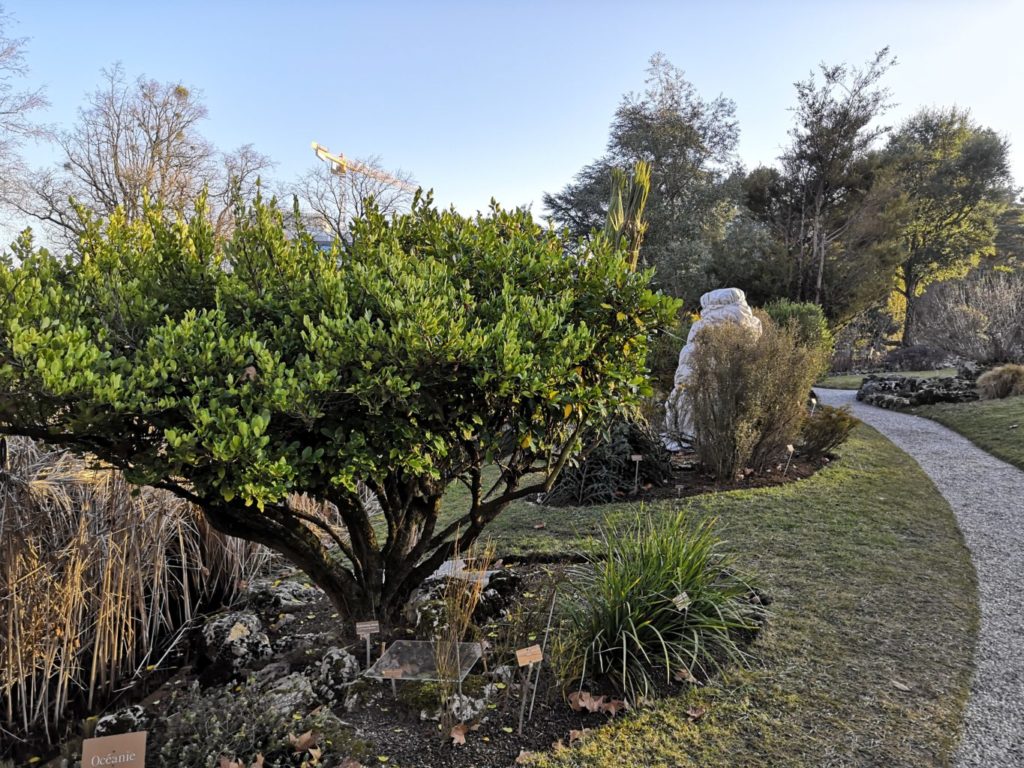 rocailles jardin botanique