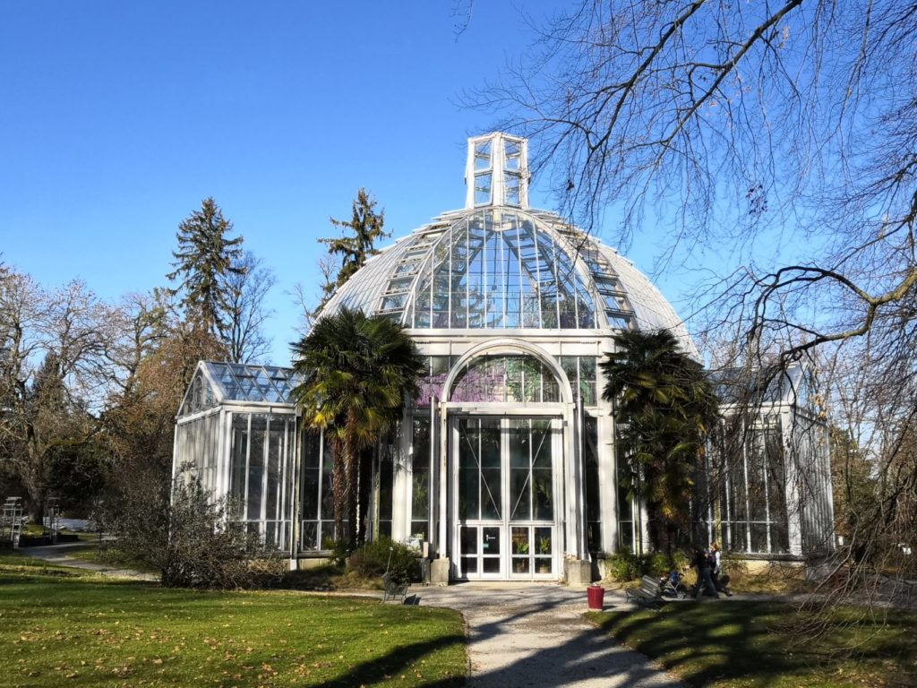 serre du jardin botanique