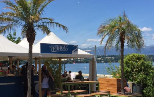 tropical corner