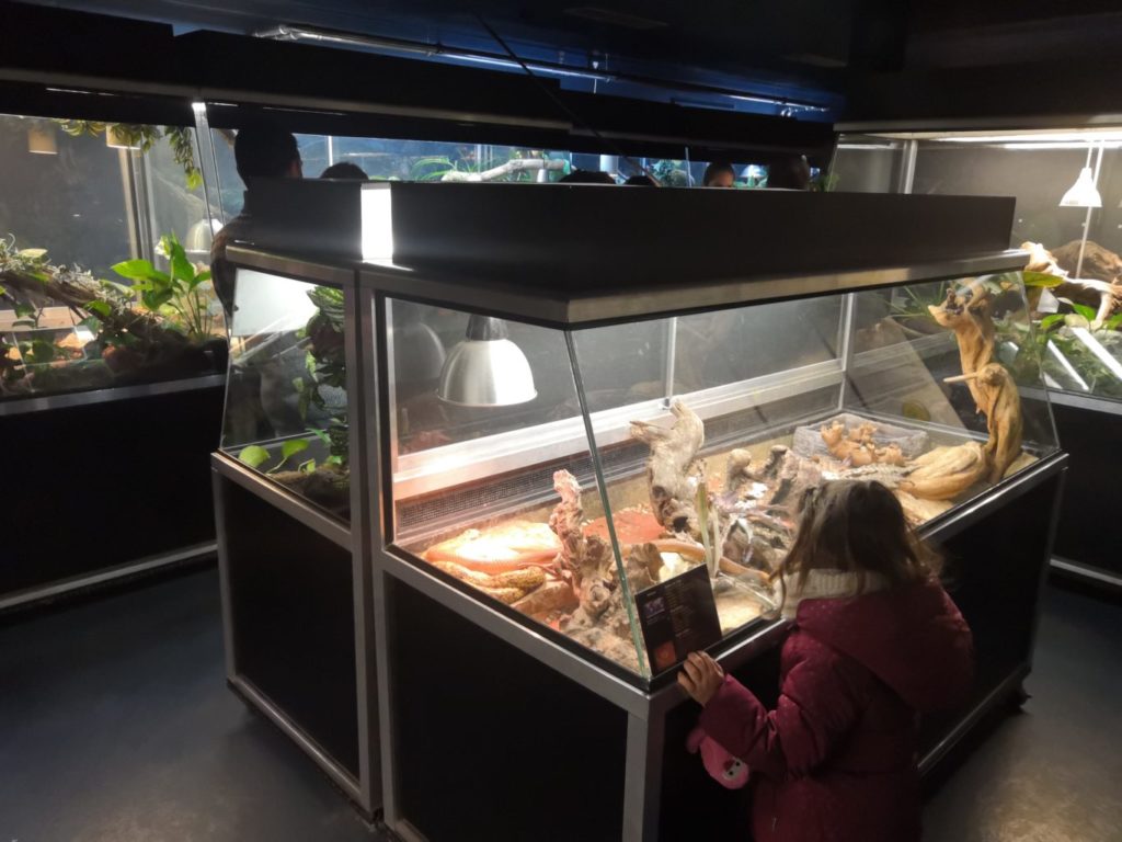 enfant au vivarium de meyrin genève