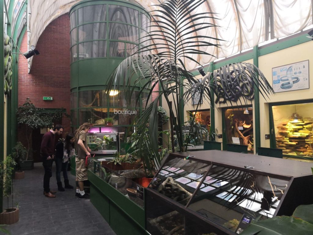 Visite du vivarium de meyrin genève