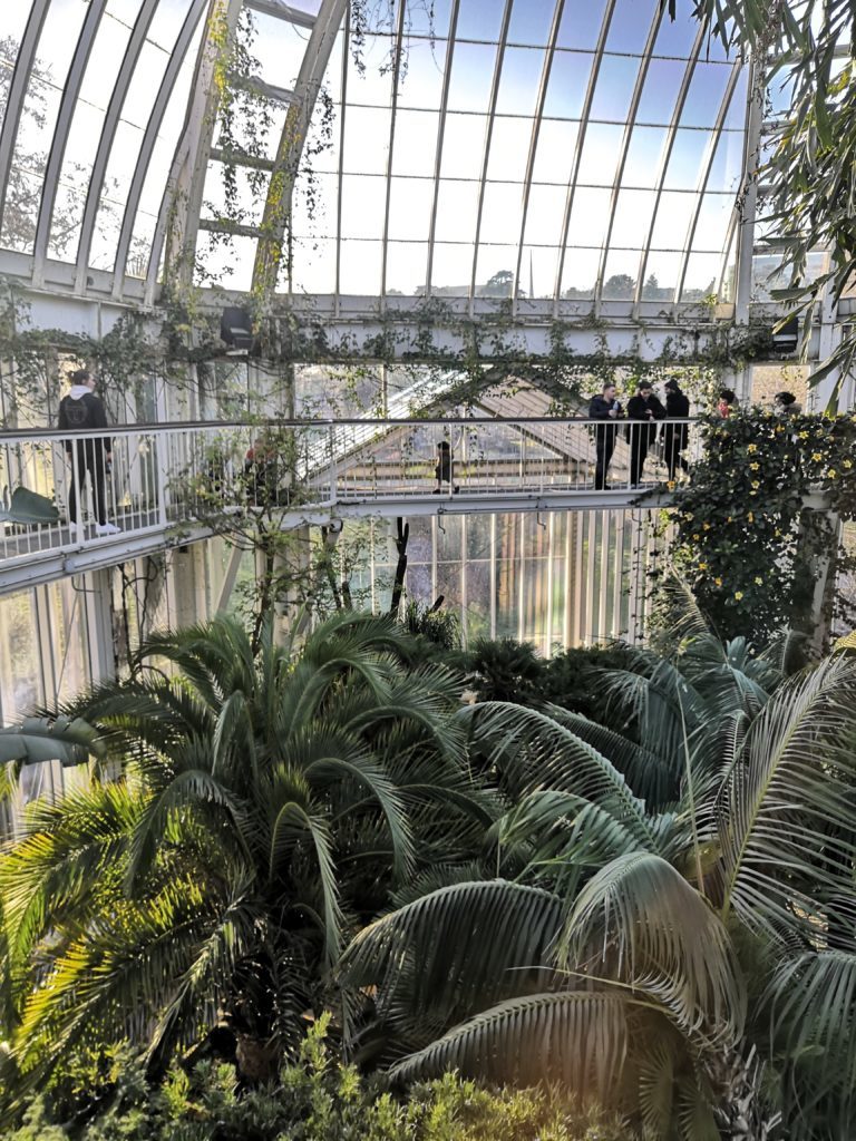 vue du haut de la serre jardin botanique