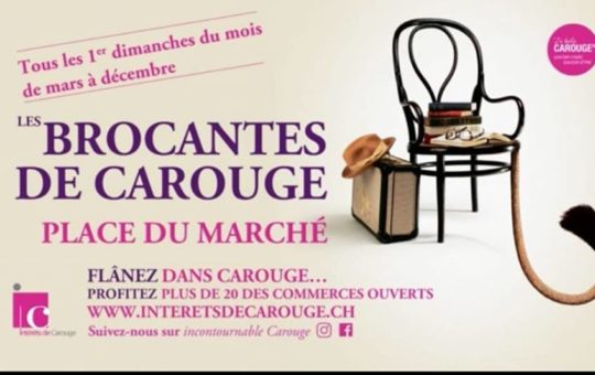 brocante de carouge