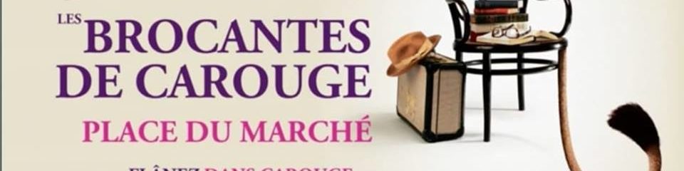 brocante de carouge