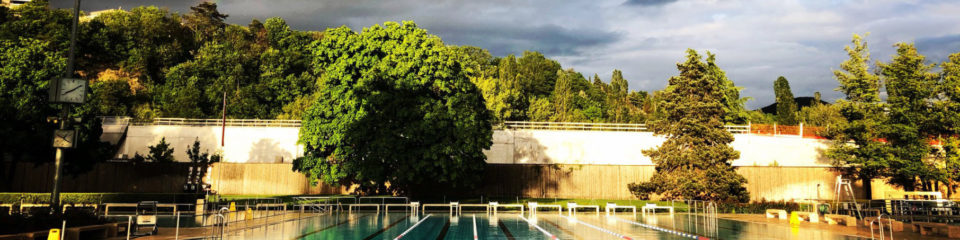 piscine carouge