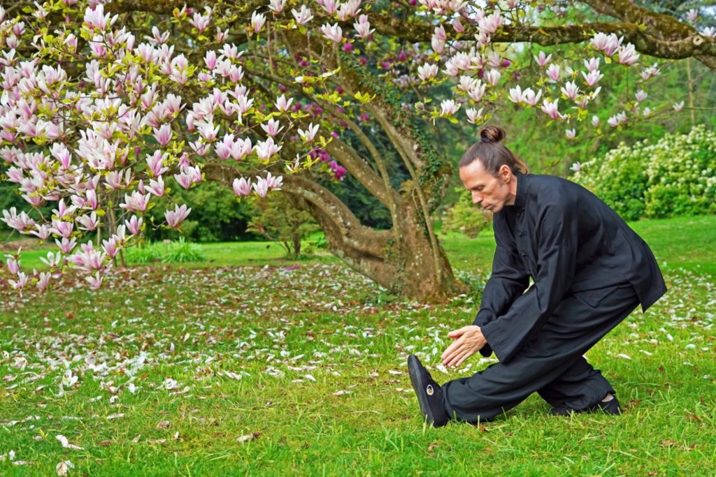 cours de tai chi