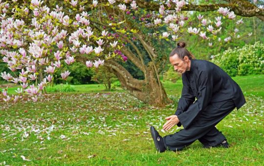 cours de tai chi