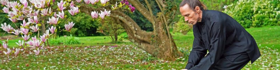 cours de tai chi