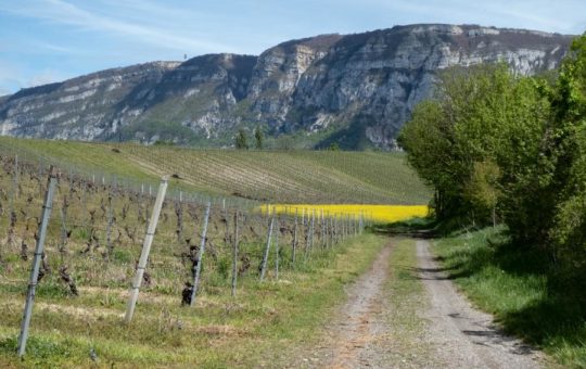 sentier de rando genève