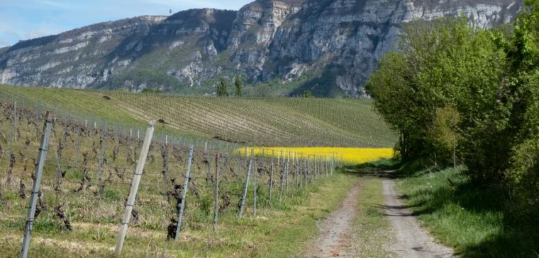 sentier de rando genève