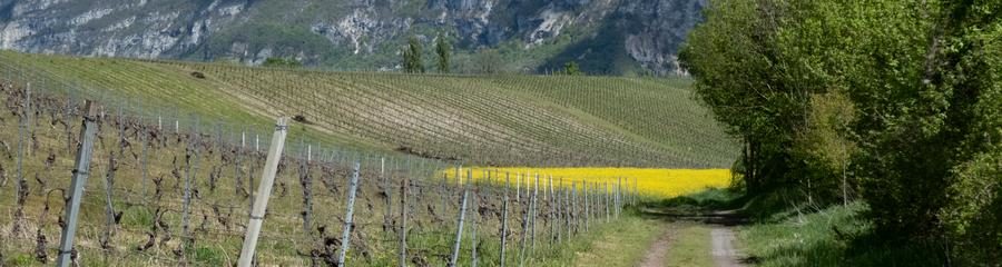 sentier de rando genève