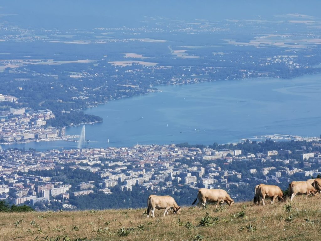 vue du salève sur genève