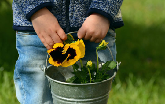 enfant jardinant