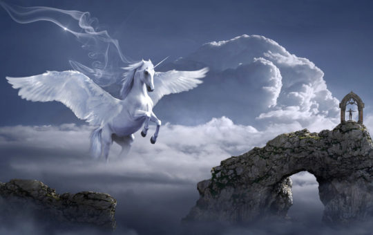 licorne dans le ciel