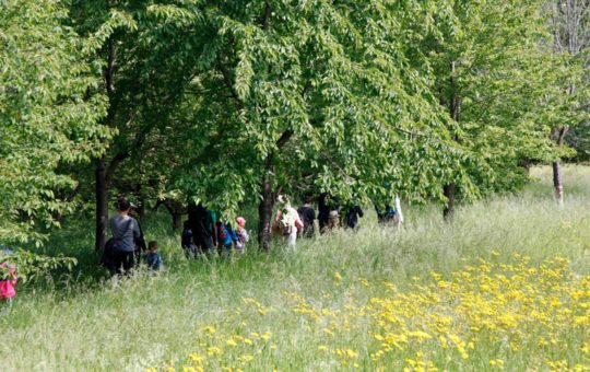 balade à plan les ouates