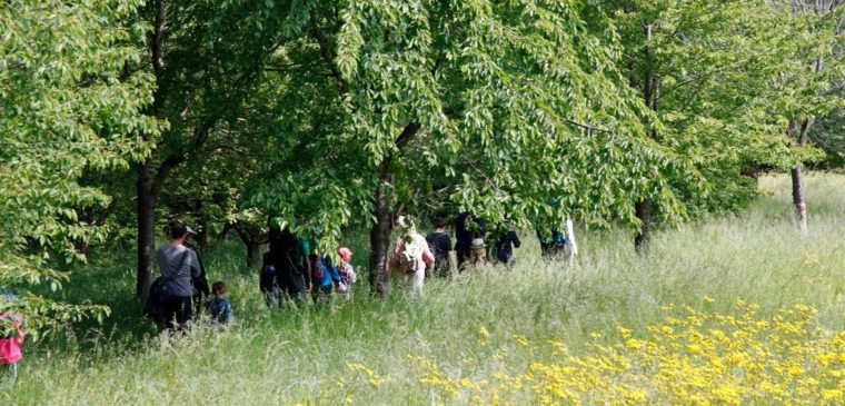 balade à plan les ouates