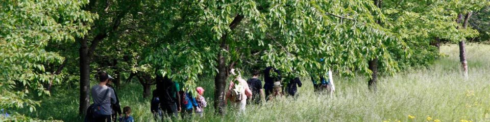 balade à plan les ouates