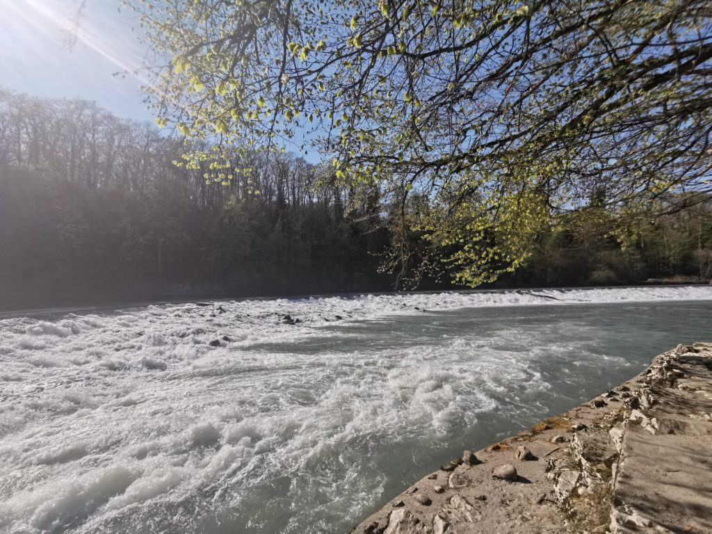 bords de l'arve genève