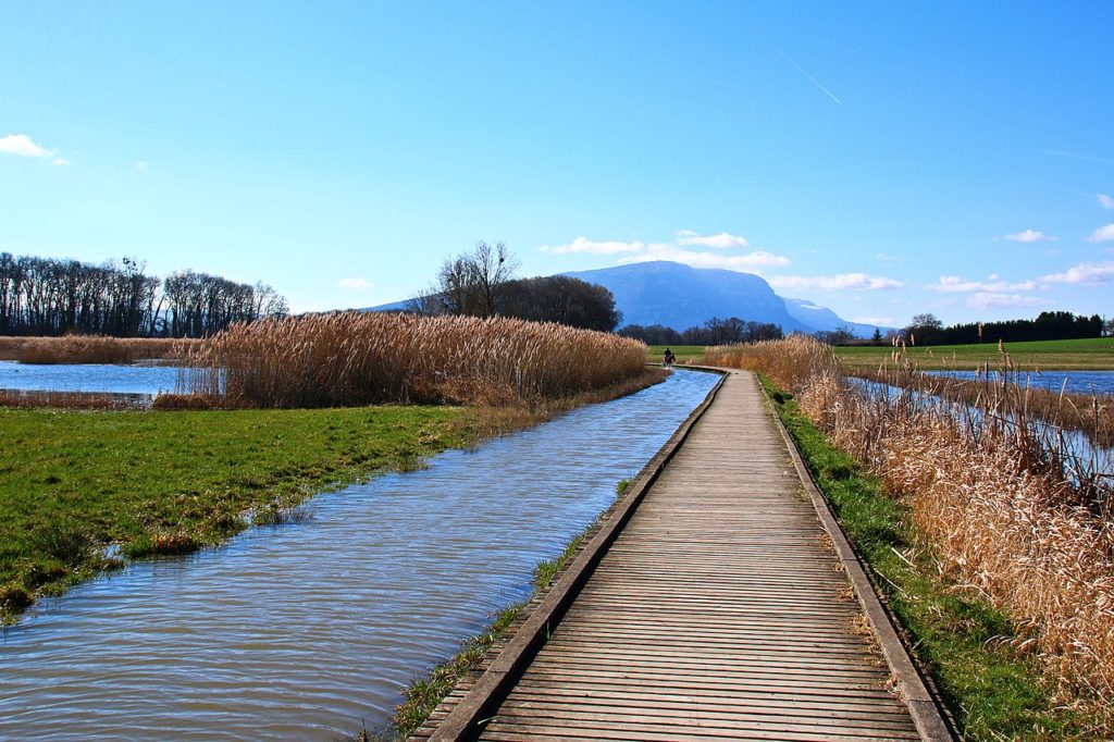 marais de choulex genève