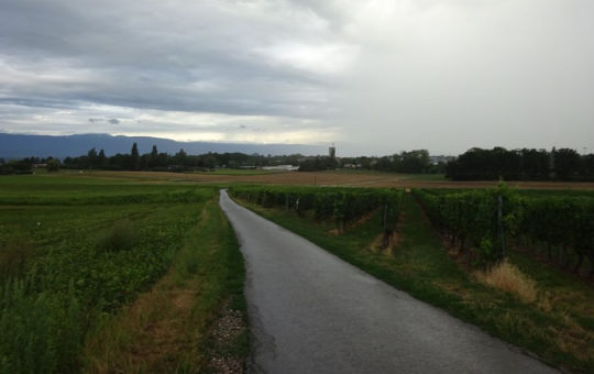 sortie vélo slow up genève