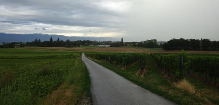 sortie vélo slow up genève