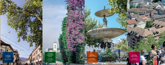 visites guidées carouge