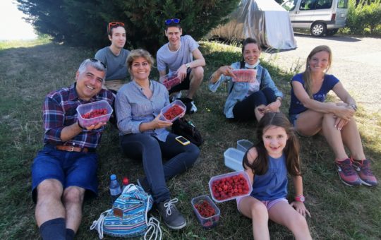 groupe à la fraisière