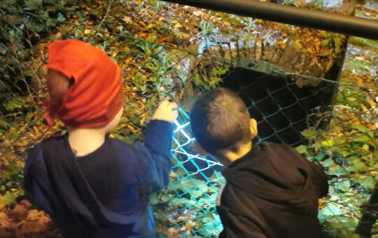 enfants jeu de piste genève