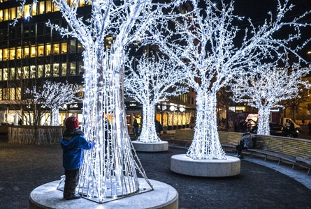 Lumières festives - La référence en installation de lumières de noël