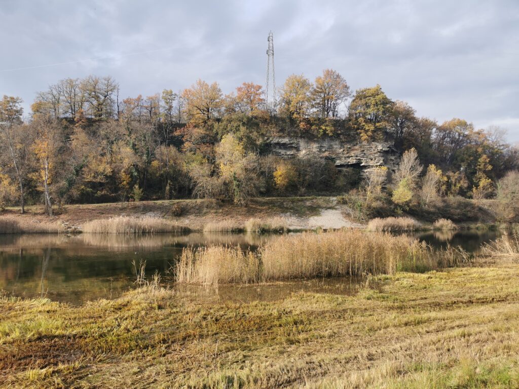 paysage arbres et cours d'eau en hiver