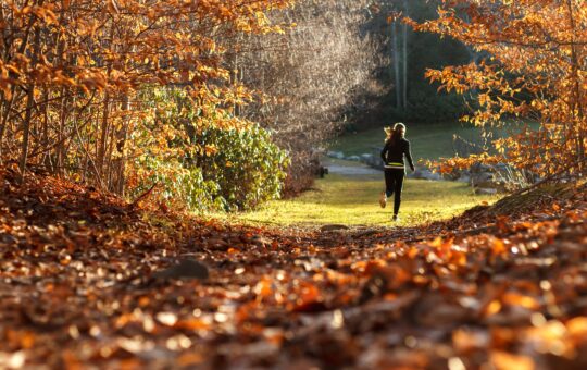 que faire automne geneve dix activites