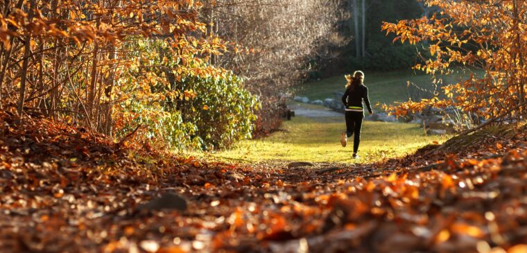 que faire automne geneve dix activites