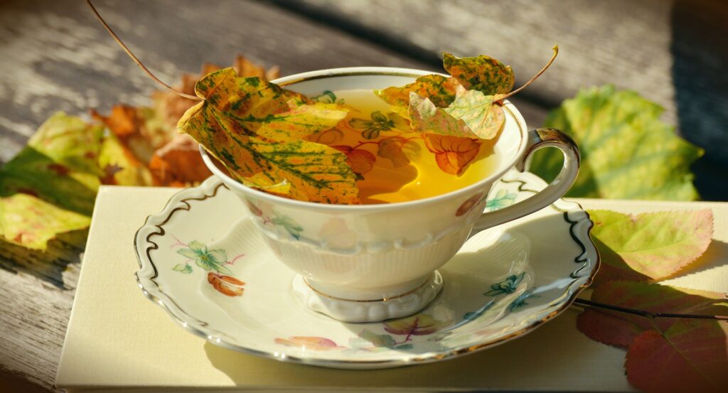 tasse recouverte de feuilles sur soucoupe