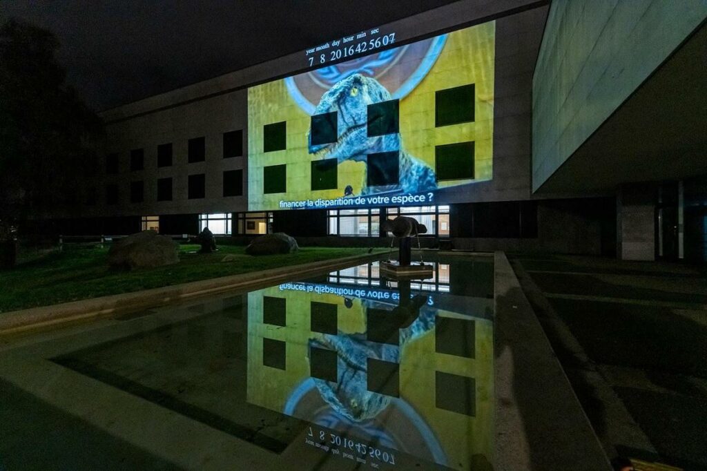 façace bâtiement avec projection lumineuse de dinosaure