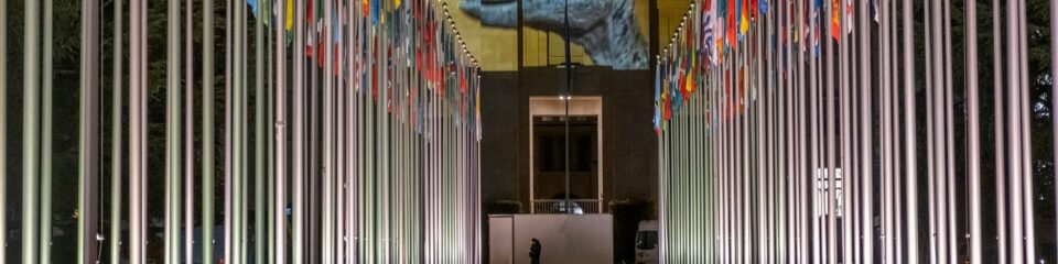 allée bordée de drapeaux sur mâts avec image dinosaure sur façade