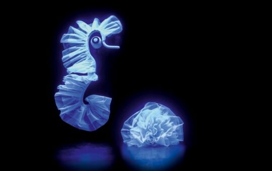 hippocampe lumineux bleu sur fond noir
