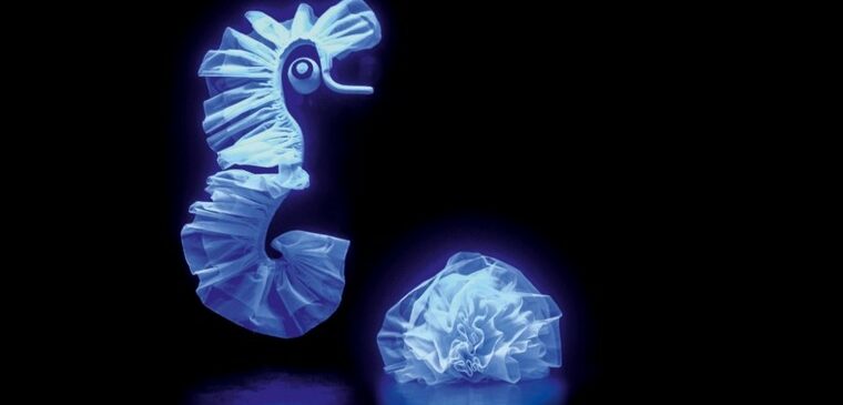 hippocampe lumineux bleu sur fond noir