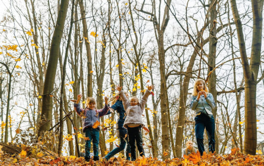 enfants dans la foret