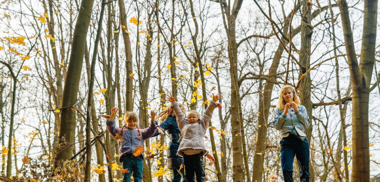 enfants dans la foret