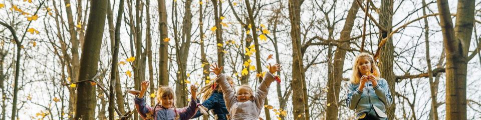 enfants dans la foret