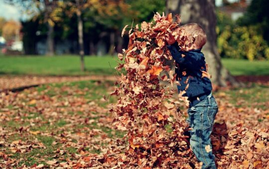 enfant joue dans les feuilles automne