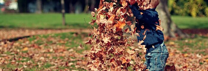 enfant joue dans les feuilles automne