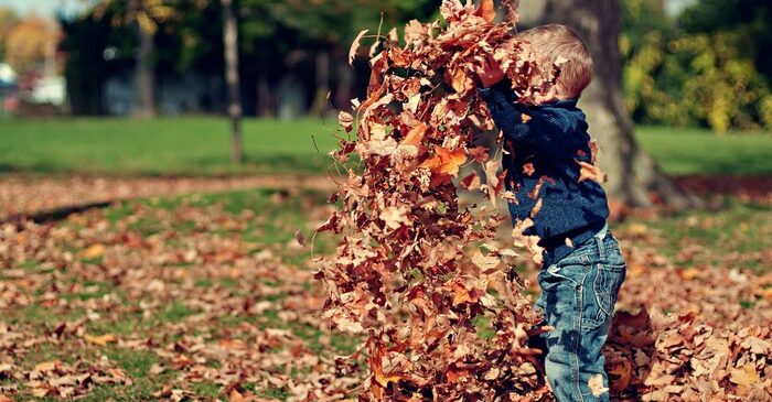 enfant joue dans les feuilles automne
