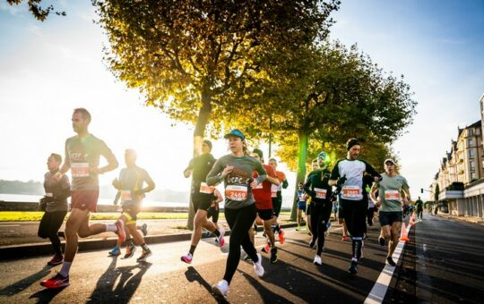 coureurs sur route bordée d'arbres