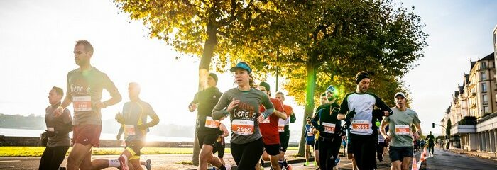 coureurs sur route bordée d'arbres