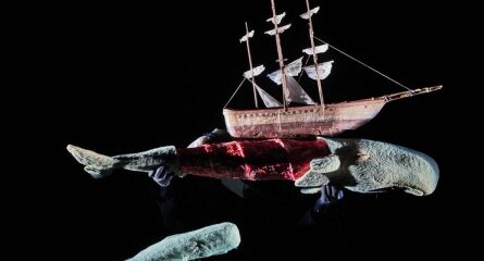 baleine moby dick sous voilier