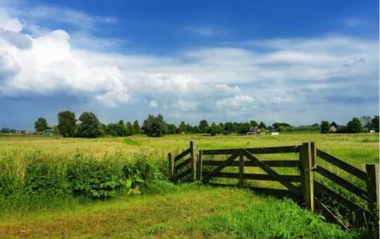 pont en bois dans campagne ciel bleu et nuages blancs